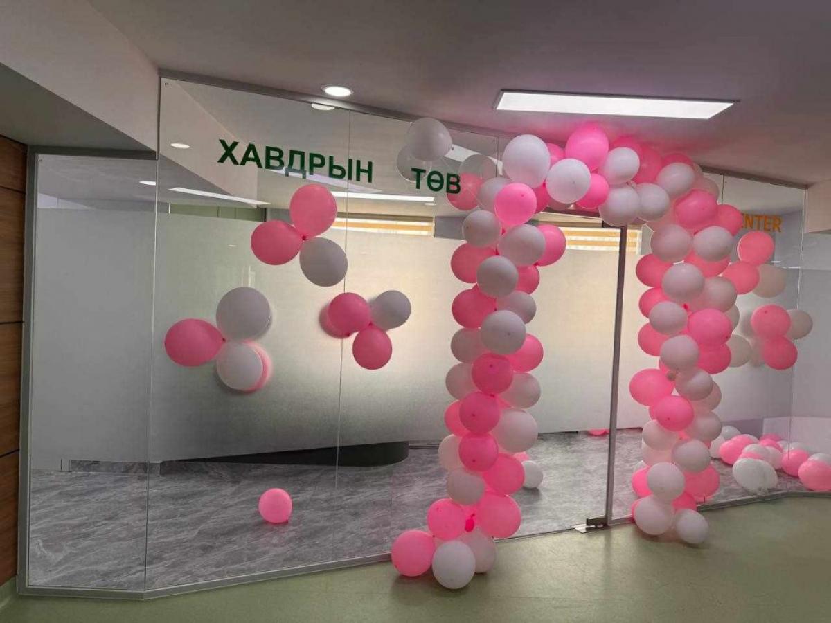 БАЯНГОЛ ДҮҮРГИЙН ЭРҮҮЛ МЭНДИЙН ТӨВ ХАВДРЫН ЦОГЦ ЭМЧИЛГЭЭГ НЭГ УРСГАЛААР ҮЗҮҮЛЭХ ЧАДАМЖТАЙ БОЛЛОО