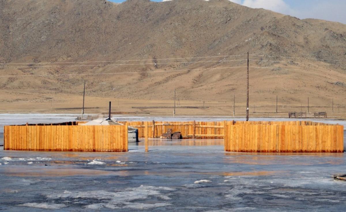 5000 ГАРУЙ АЙЛ ӨРХ ШАР УСНЫ ҮЕРТ ӨРТӨЖ БОЛЗОШГҮЙ