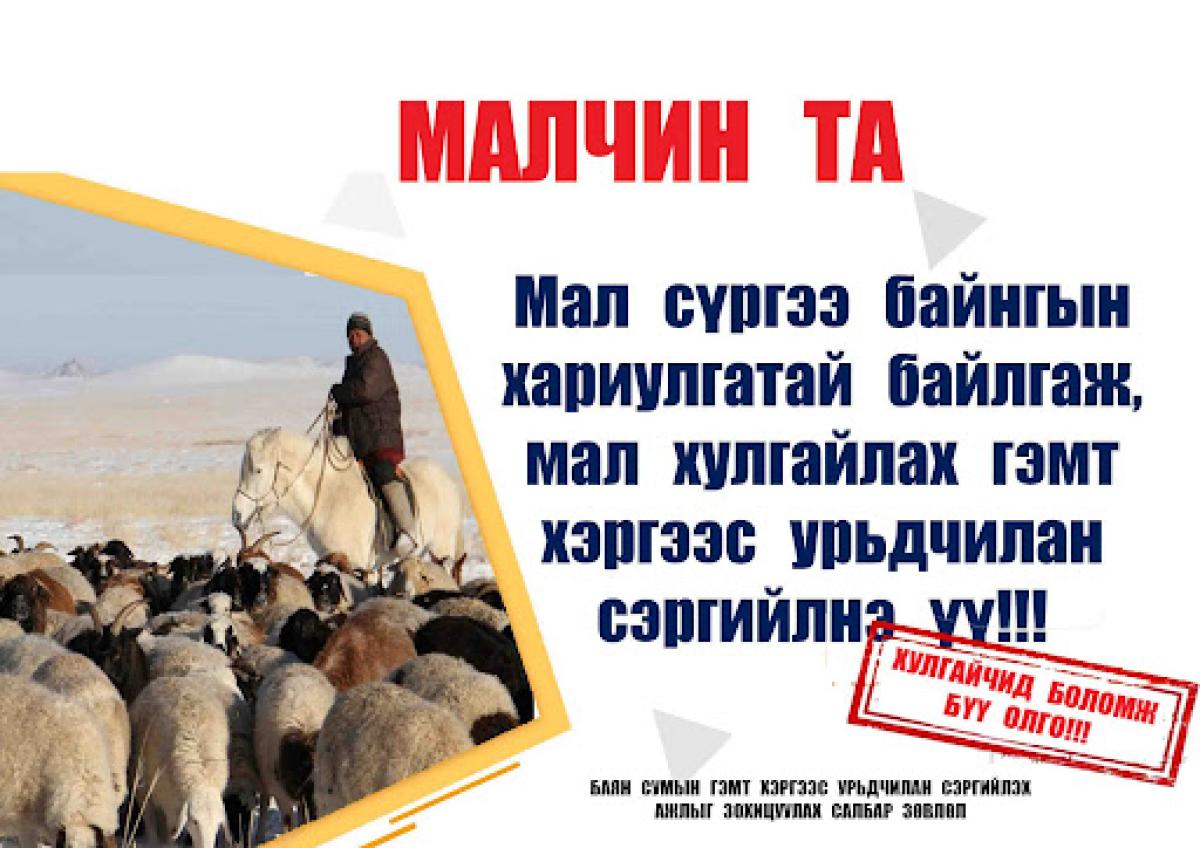 МАЛЫН ХУЛГАЙН 2,144 ХЭРЭГТ ХЯНАЛТ ТАВЬЖ, 333 ХҮНД ЯЛ ОНООЖЭЭ